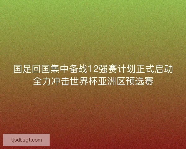 国足回国集中备战12强赛计划正式启动全力冲击世界杯亚洲区预选赛